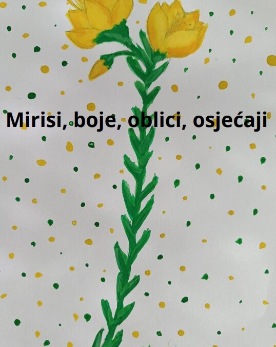 Knjižica Mirisi, boje, oblici, osjećaji