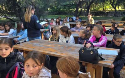 FESTIVAL ZNANOSTI – ČETVRTAŠI NA LOKRUMU