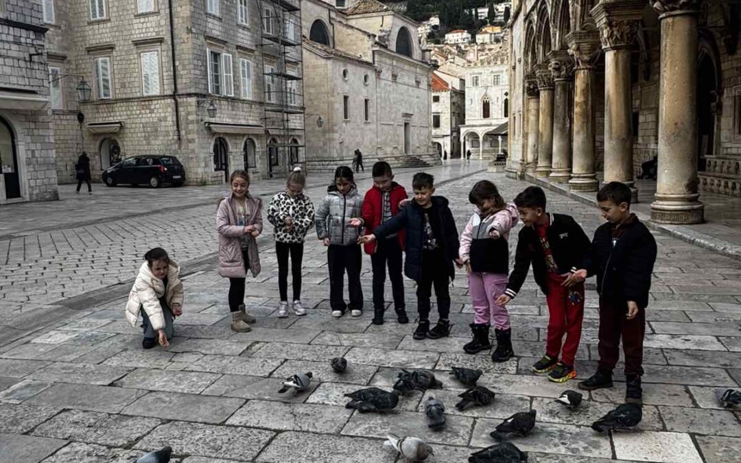 BRIGA ZA NAŠE PERNATE PRIJATELJE